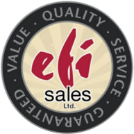 Logo of the brand EFI